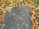 image of grave number 540274